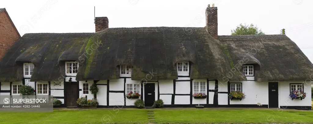 England, Warwickshire, Lower Quinton. The front of traditional thatched cottages in the village of Lower Quinton.