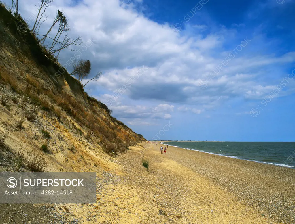 England, Suffolk, Dunwich. People walking along the beach at Dunwich, once the capital of the Saxon kingdom of East Anglia and a thriving Medieval town and port. Starting with the Great Storm of 1326 it was all washed away and the cliffs continue to erode.