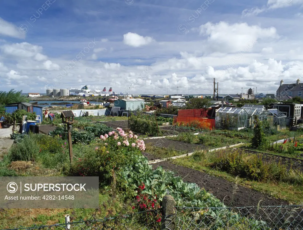 Wales, Anglesey, Holyhead. Allotments on Prince of Wales Road with Salt Island and the harbour beyond.