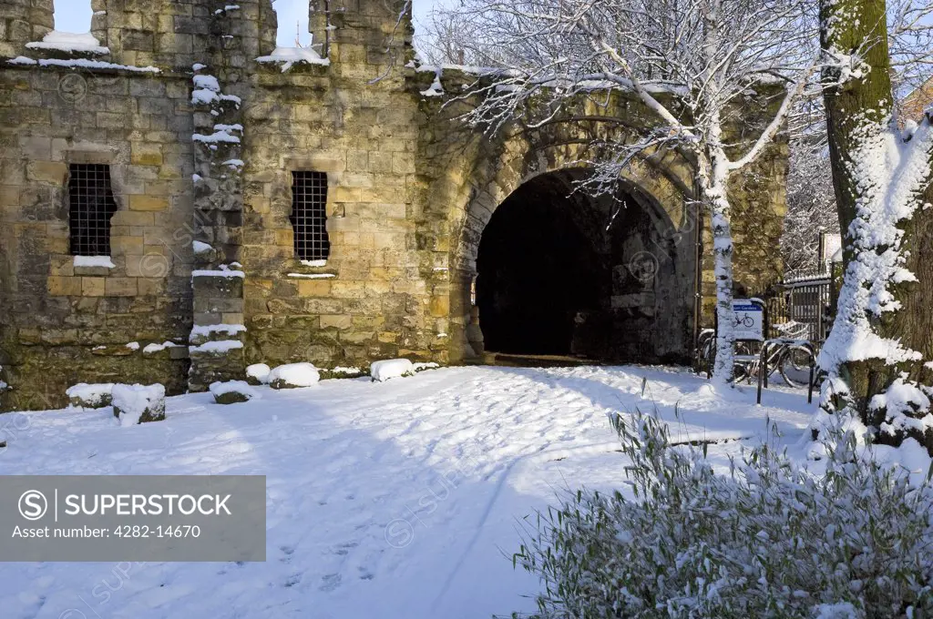 England, North Yorkshire, York. The ruins of St Leonard's Hospital in the Yorkshire Museum Gardens in winter. St Leonard's was the largest medieval hospital in England and cared for the ill and infirm of York.