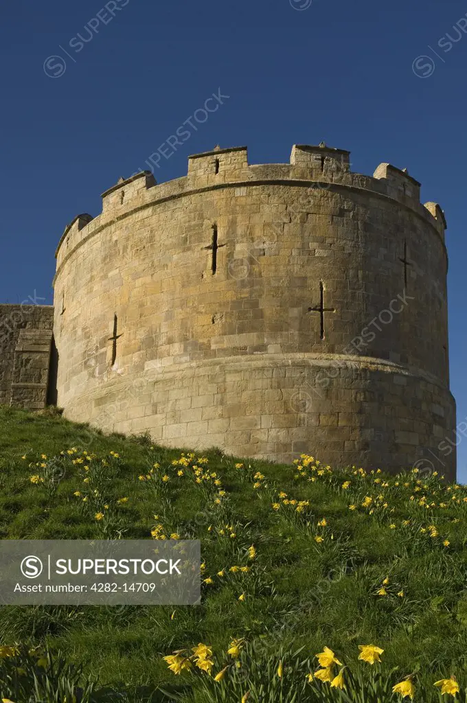 England, North Yorkshire, York. Robin Hood Tower, part of the York city walls Walls between Monk Bar and Bootham Bar.