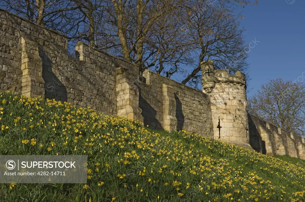 England, North Yorkshire, York. Tower on the York city walls between Monk Bar and Bootham Bar.