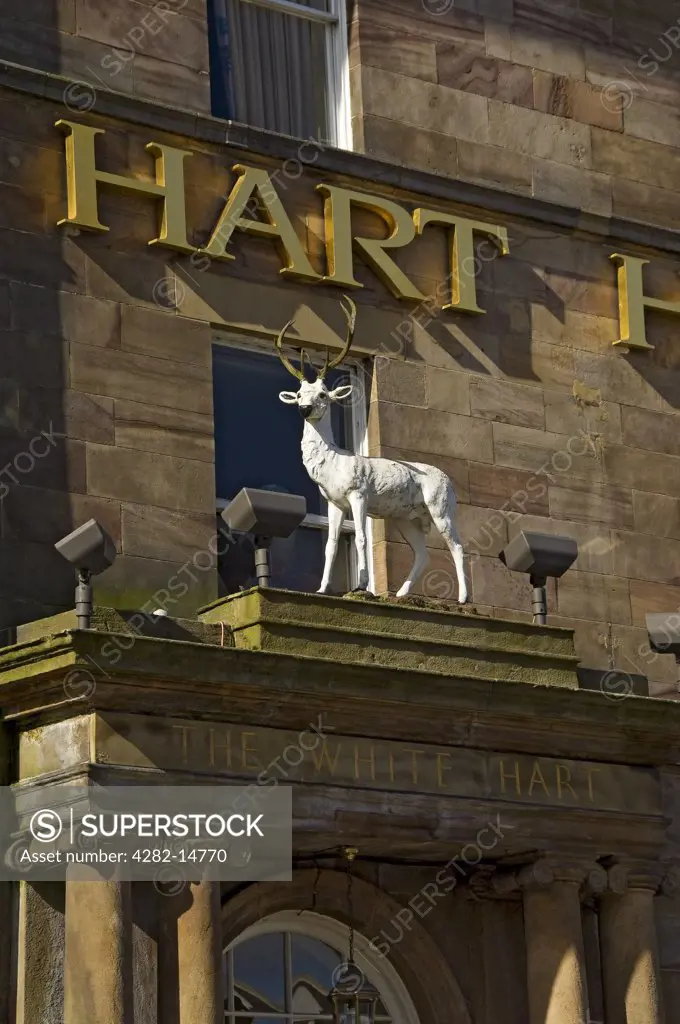 England, North Yorkshire, Harrogate. Figure of a Hart above the entrance to the White Hart Hotel.