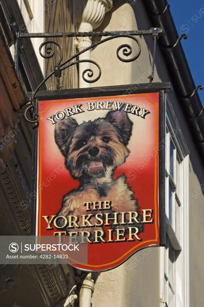 England, North Yorkshire, York. The Yorkshire Terrier pub sign, Stonegate.
