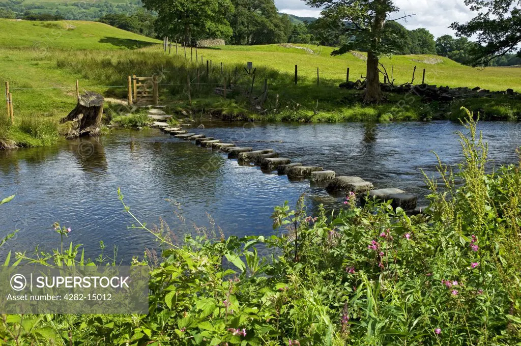 England, Cumbria, near Ambleside. Stepping stones across the River Rothay near Ambleside.