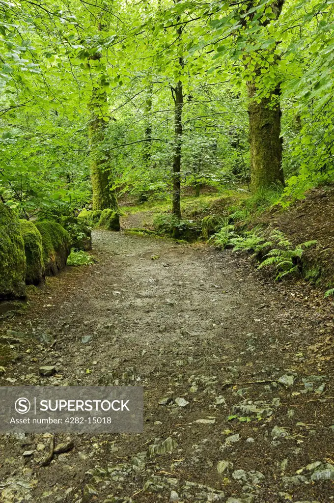 England, Cumbria, near Ambleside. Footpath leading up to Stockghyll Force near Ambleside.