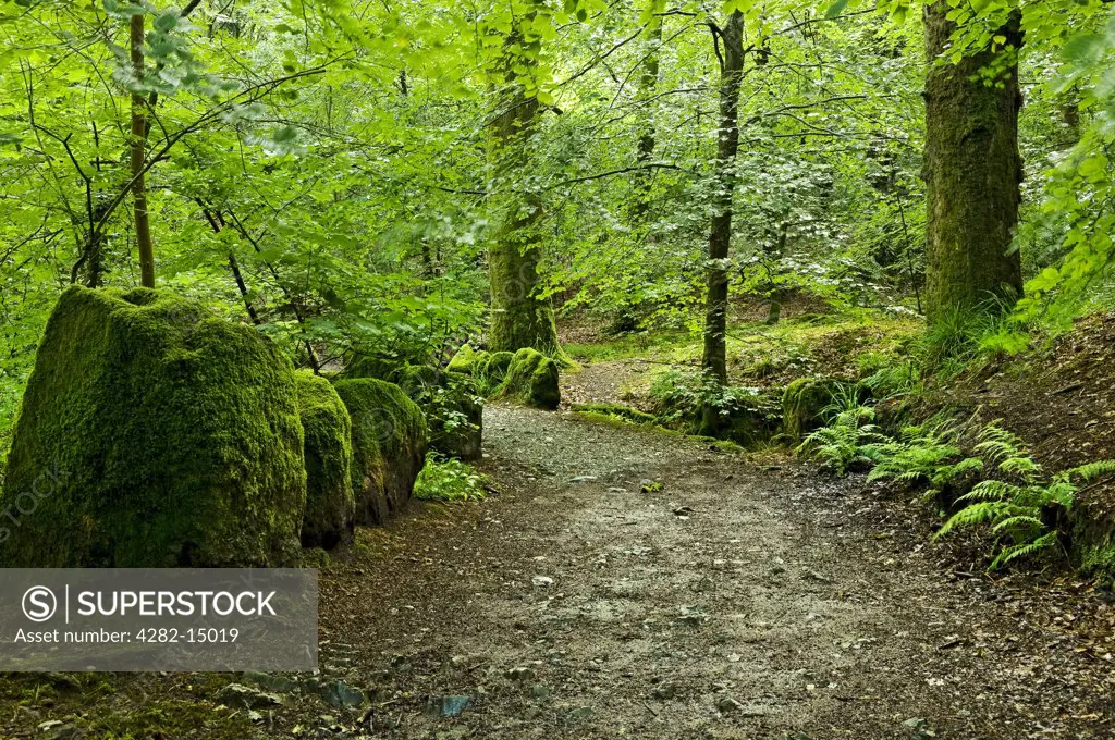 England, Cumbria, near Ambleside. Footpath leading up to Stockghyll Force near Ambleside.