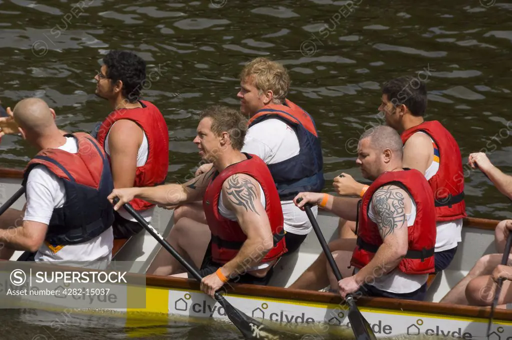 England, North Yorkshire, York. Men in boat competing in the Dragon Boat Challenge on the River Ouse.