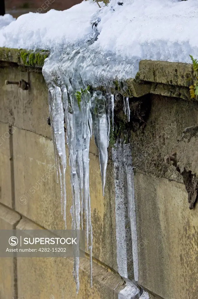 England, North Yorkshire. Close-up of large icicles hanging from a wall.