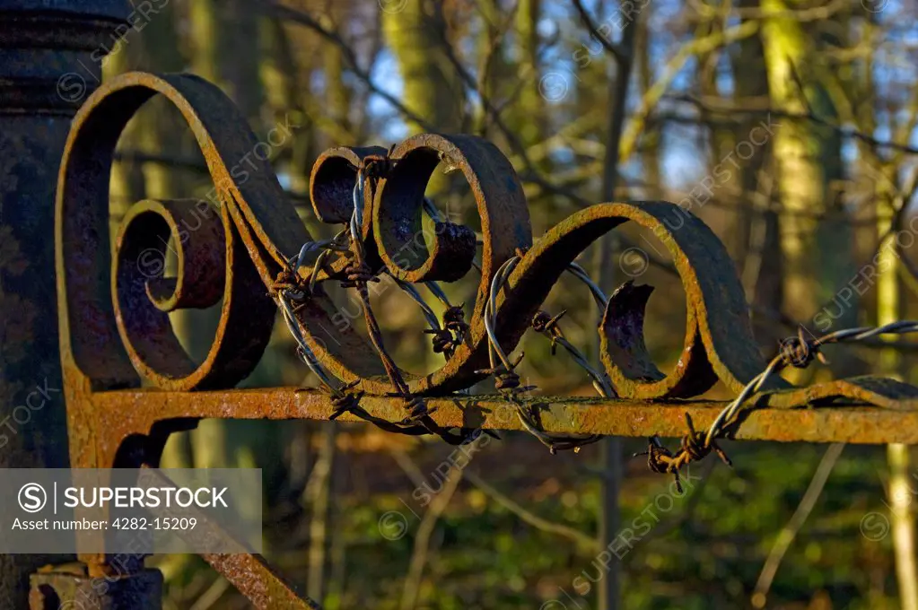 England, North Yorkshire, Castle Howard. Detail of barbed wire on a rusty wrought iron gate.