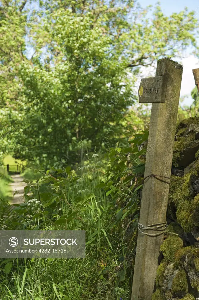 England, Cumbria, Dales Way. A wooden sign for the Dales Way pointing down a footpath.