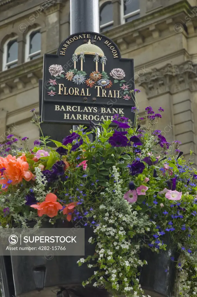 England, North Yorkshire, Harrogate. A flower basket hanging from a post, part of the Harrogate In Bloom Floral Trail.