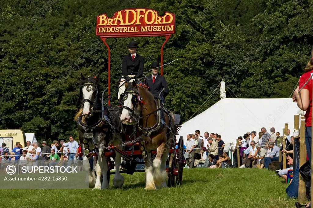 England, North Yorkshire, Gargrave. Shire horses pulling a dray from the Bradford Industrial Museum at Gargrave Show, an annual country show near Skipton.