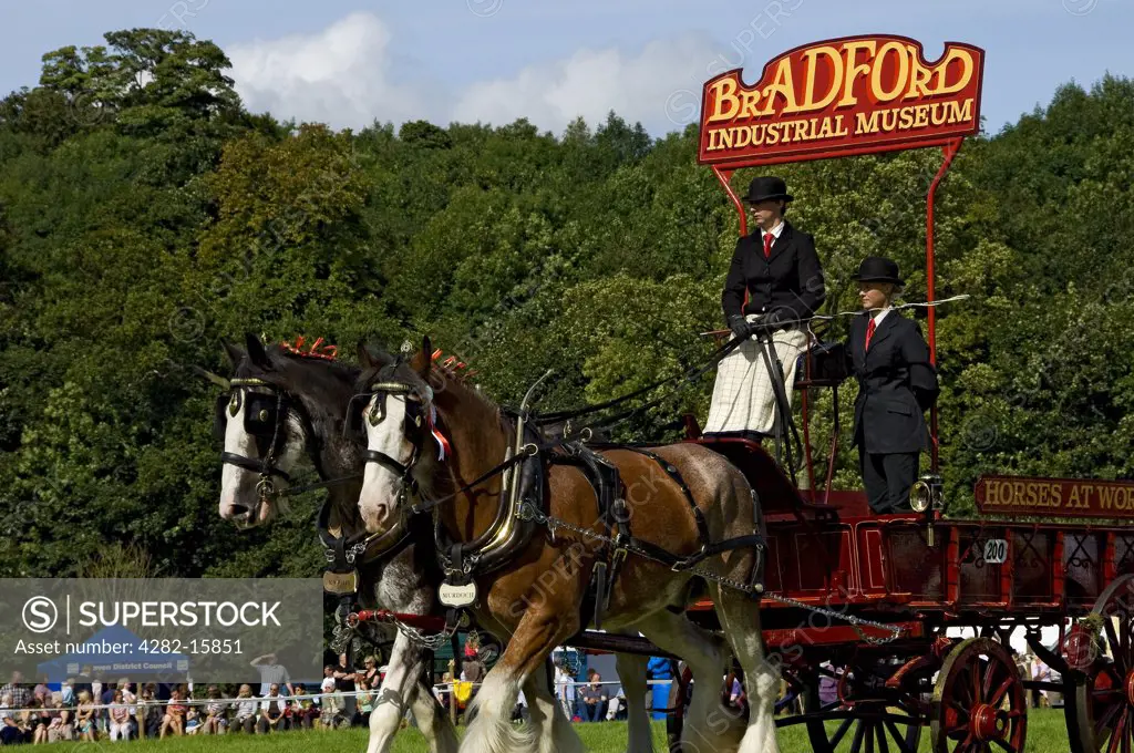 England, North Yorkshire, Gargrave near Skipton. Shire horses pulling a dray from the Bradford Industrial Museum at Gargrave Show, an annual country show near Skipton.
