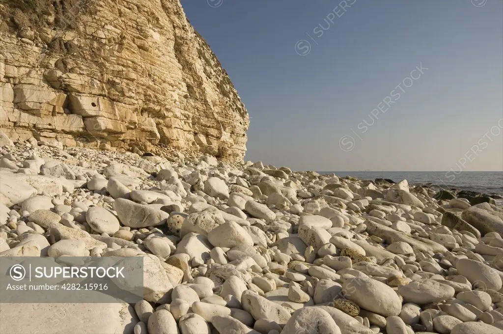 England, East Yorkshire, Flamborough. The rocky beach and sand coloured cliffs at South Landing in East Yorkshire.