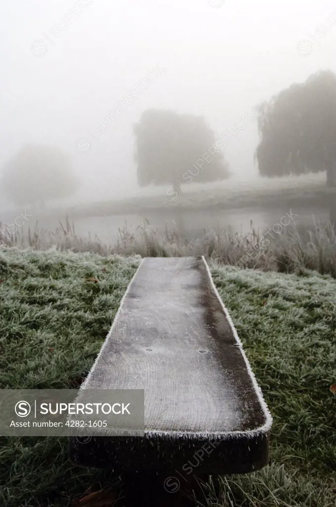 England, Berkshire, Windsor. Frosty, foggy morning in Home Park.