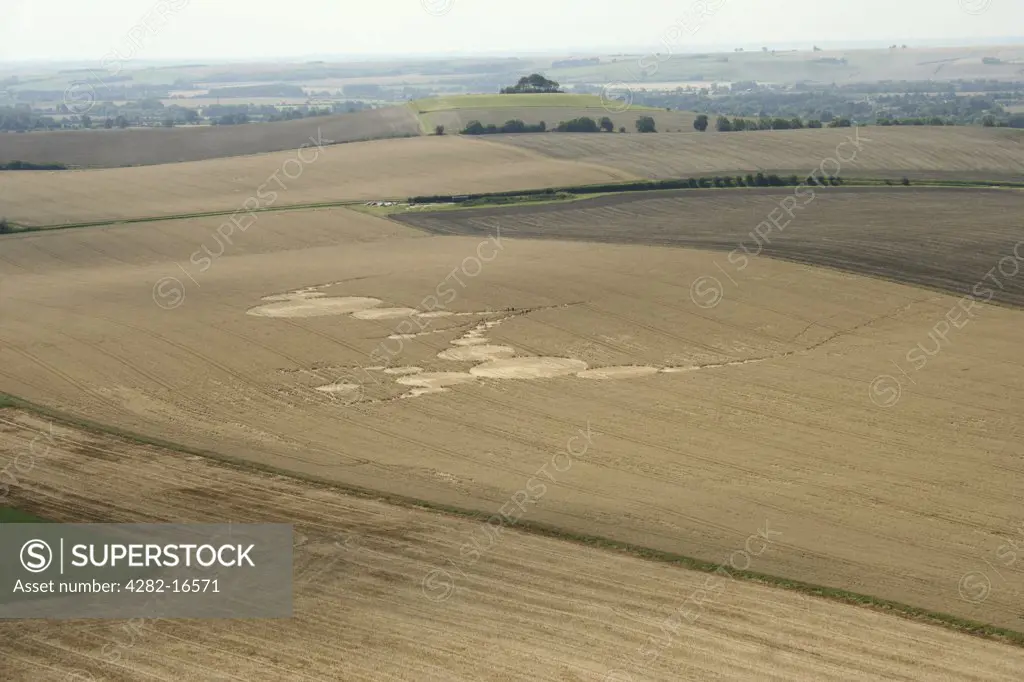 England, Wiltshire, Knapp Hill. A crop circle formed in a field at Knapp Hill.