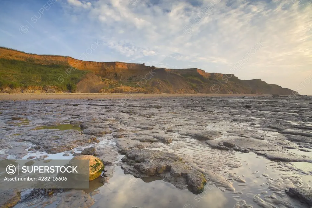 England, Essex, Walton. Beach and rock pools at The Naze.