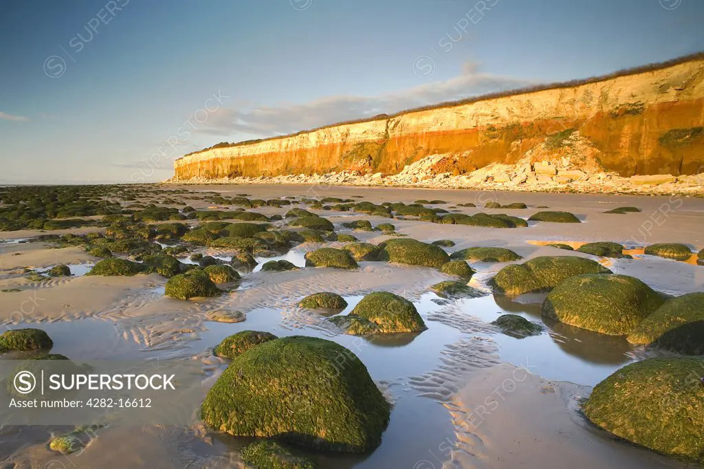 England, Norfolk, Hunstanton. A view across rock pools to the cliffs beyond on Hunstanton beach.