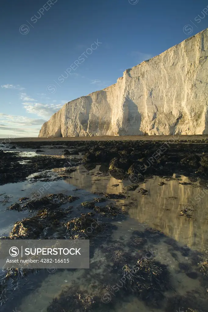 England, East Sussex, Brass Point. Brass Point situated at the western end of the Seven Sisters chalk cliffs.