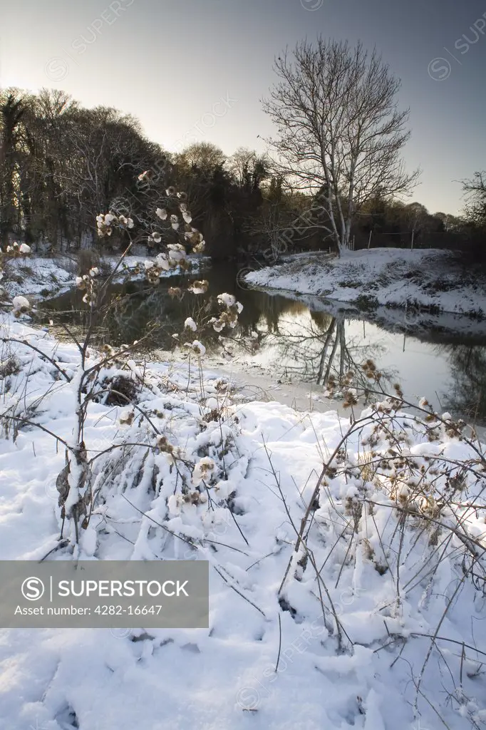 England, Suffolk, Bramford. The River Gipping in winter.