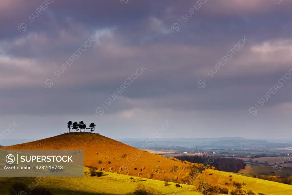England, Dorset, Colmer's Hill. Stormy light over Colmer's Hill, near Bridport.