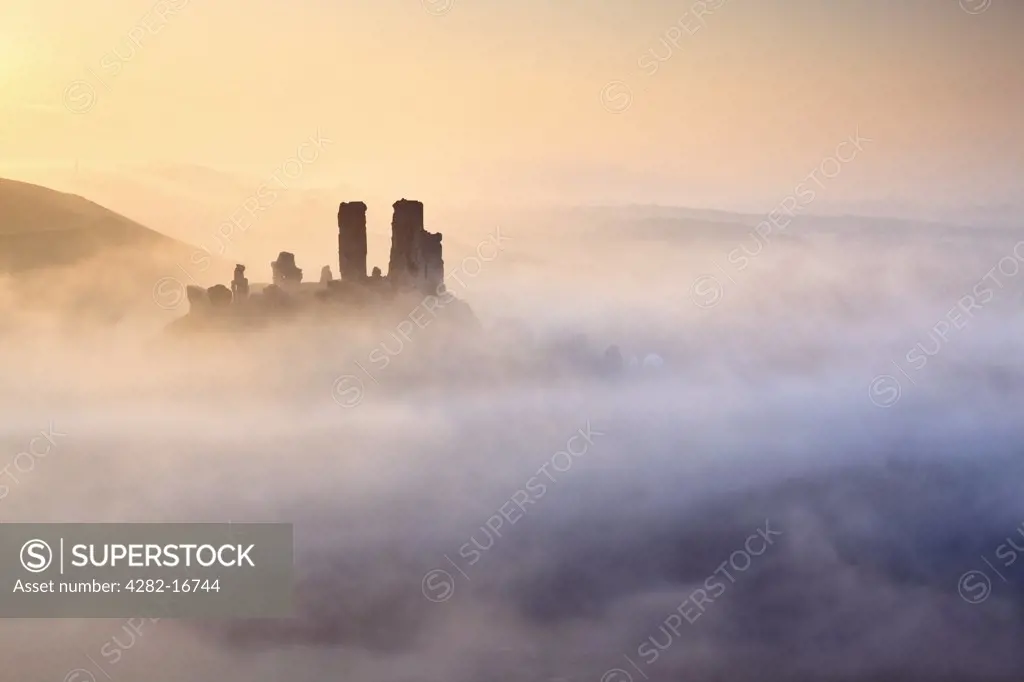 England, Dorset, Corfe Castle. Corfe Castle, dating back to the 11th century, shrouded in mist at sunrise.