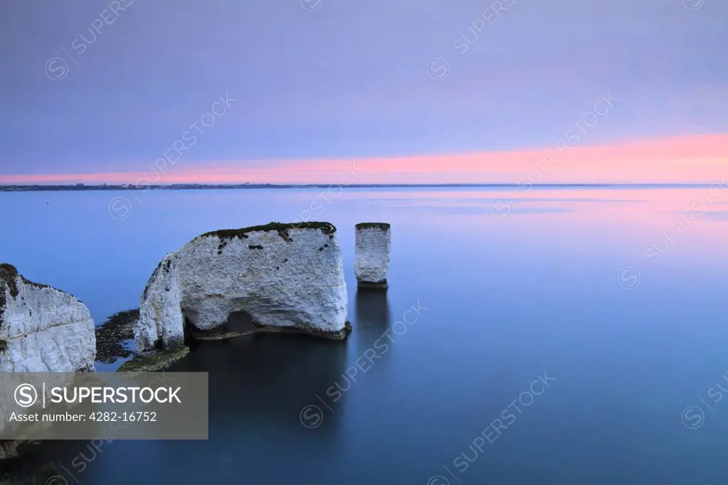 England, Dorset, Swanage. Old Harry Rocks, two chalk sea stacks located at Handfast Point, on the Isle of Purbeck at sunrise.