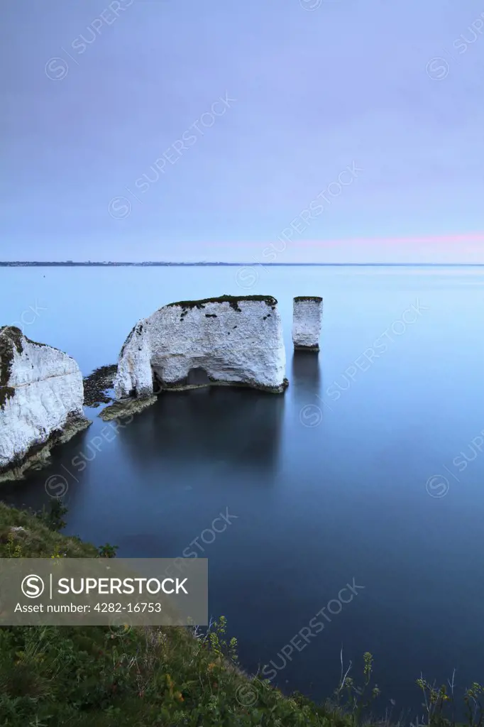 England, Dorset, Swanage. Old Harry Rocks, two chalk sea stacks located at Handfast Point, on the Isle of Purbeck at sunrise.