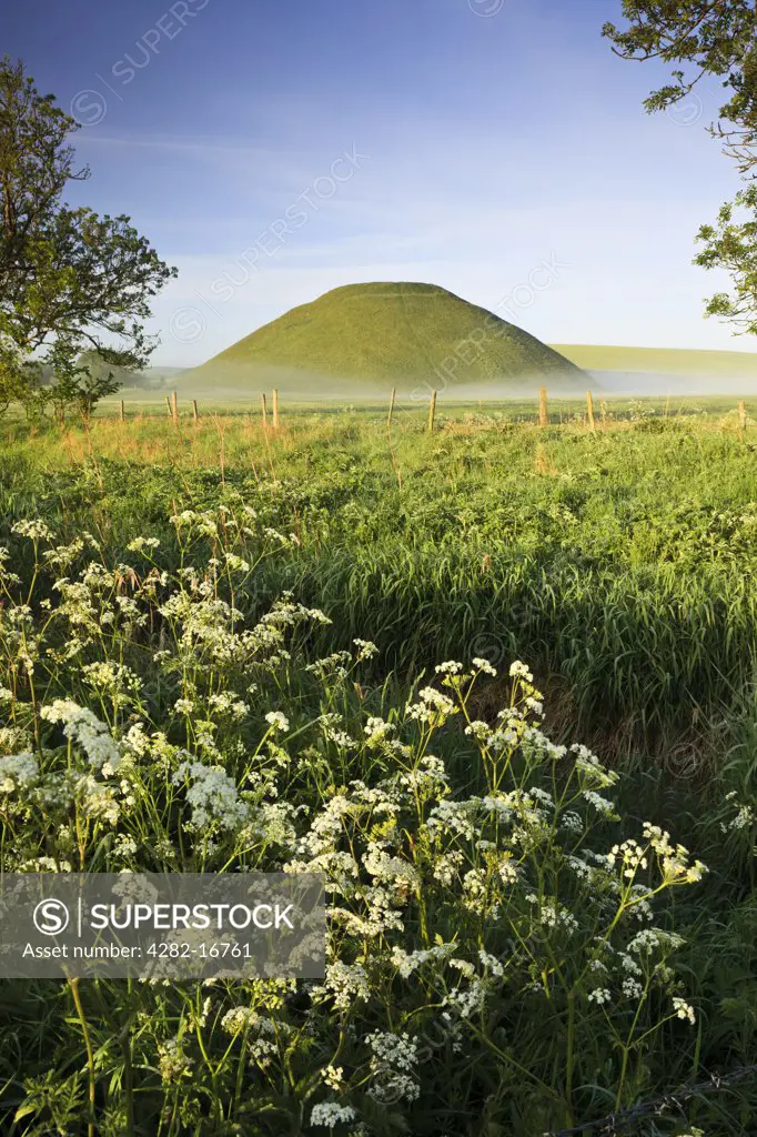 England, Wiltshire, Silbury Hill. Silbury Hill, an artificial chalk mound, the tallest prehistoric human-made mound in Europe, on a summer morning, with cow parsley in the foreground.