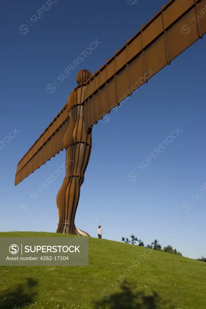England, Tyne and Wear, Gateshead. The Angel of the North, a steel sculpture of an angel by Antony Gormley by Low Fell in Gateshead.