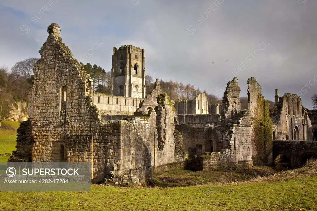 England, North Yorkshire, near Ripon. Fountains Abbey, a ruined Cistercian monastery, founded in 1132. It is a UNESCO World Heritage Site  and part of the Estate of Fountains Abbey and Studley Royal.