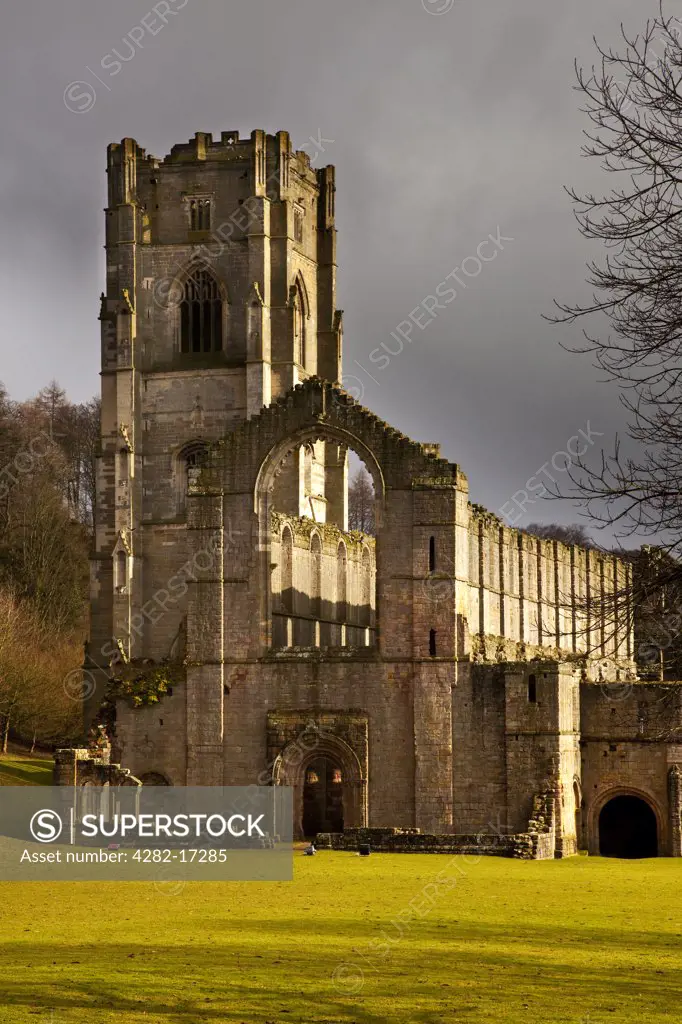 England, North Yorkshire, near Ripon. Fountains Abbey, a ruined Cistercian monastery, founded in 1132. It is a UNESCO World Heritage Site  and part of the Estate of Fountains Abbey and Studley Royal.