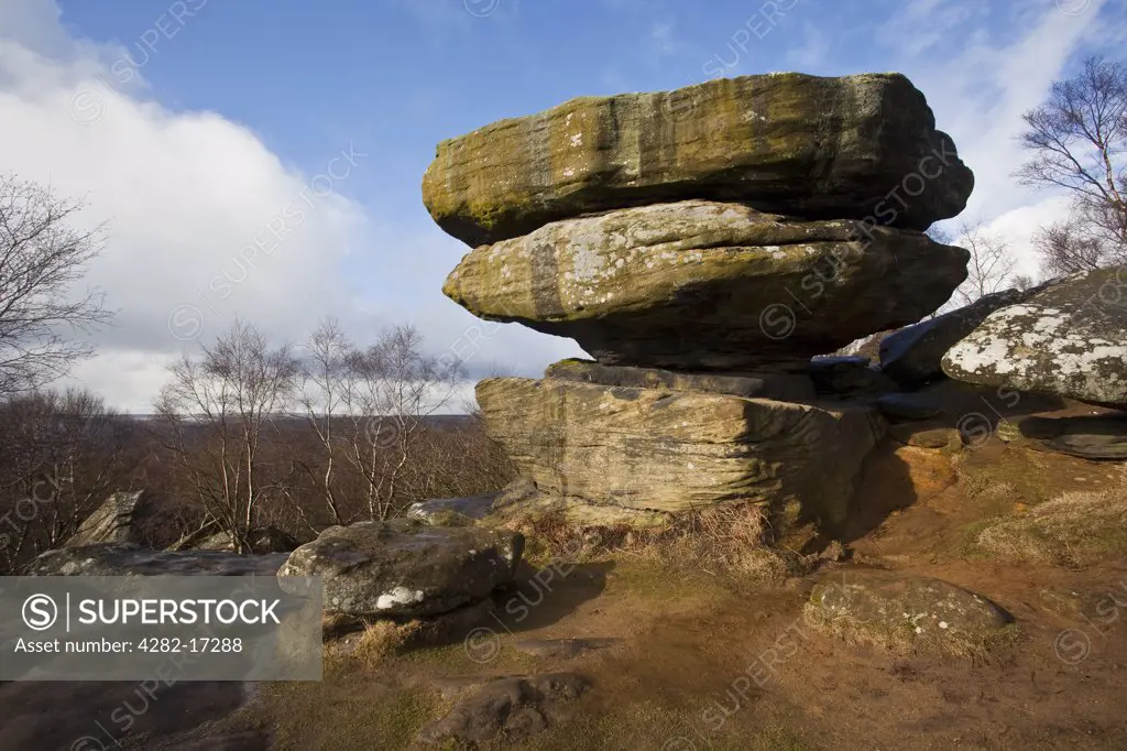 England, North Yorkshire, near Pateley Bridge. Brimham Rocks formed from Millstone Grit exposed and eroded over millions of years to form the bizarre shaped rocks that can be seen today.