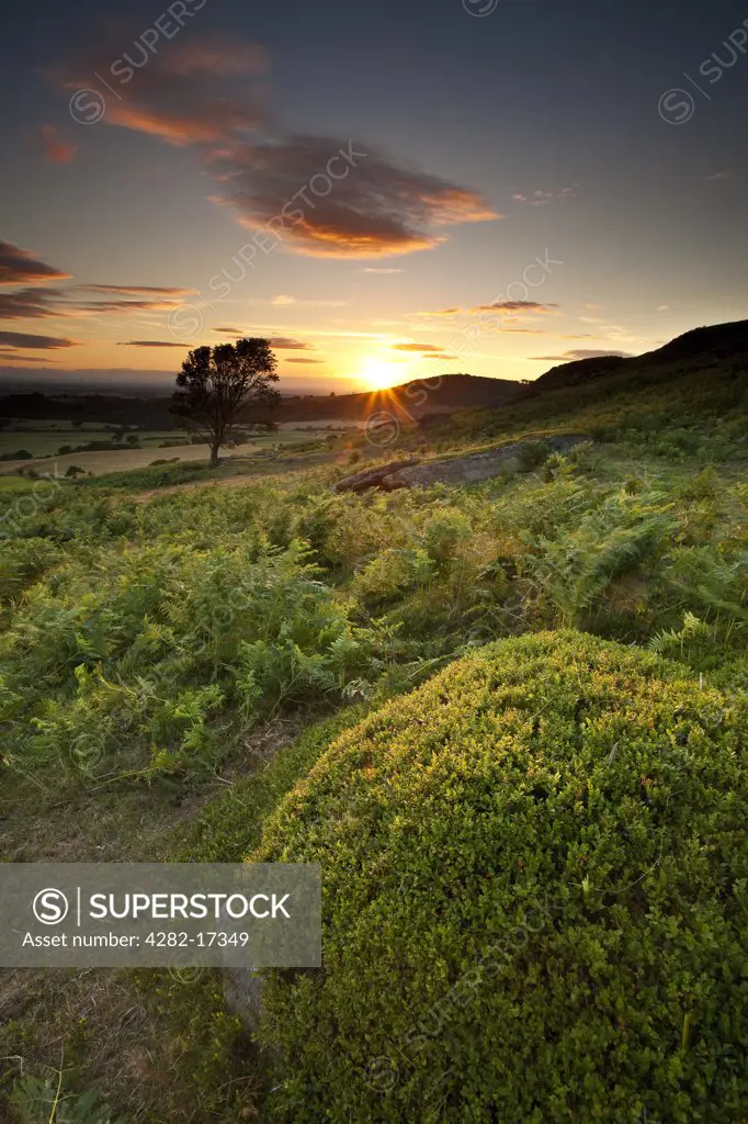 England, North Yorkshire, near Kildale. Sunset over Warren Moor near Kildale in the North York Moors National Park.