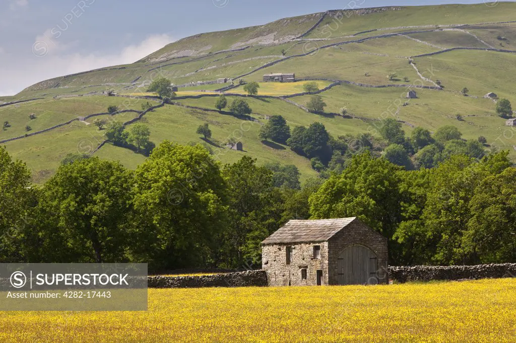 England, North Yorkshire, near Muker. A stone barn in a wild flower meadow near Muker, Swaledale, Yorkshire Dales National Park.