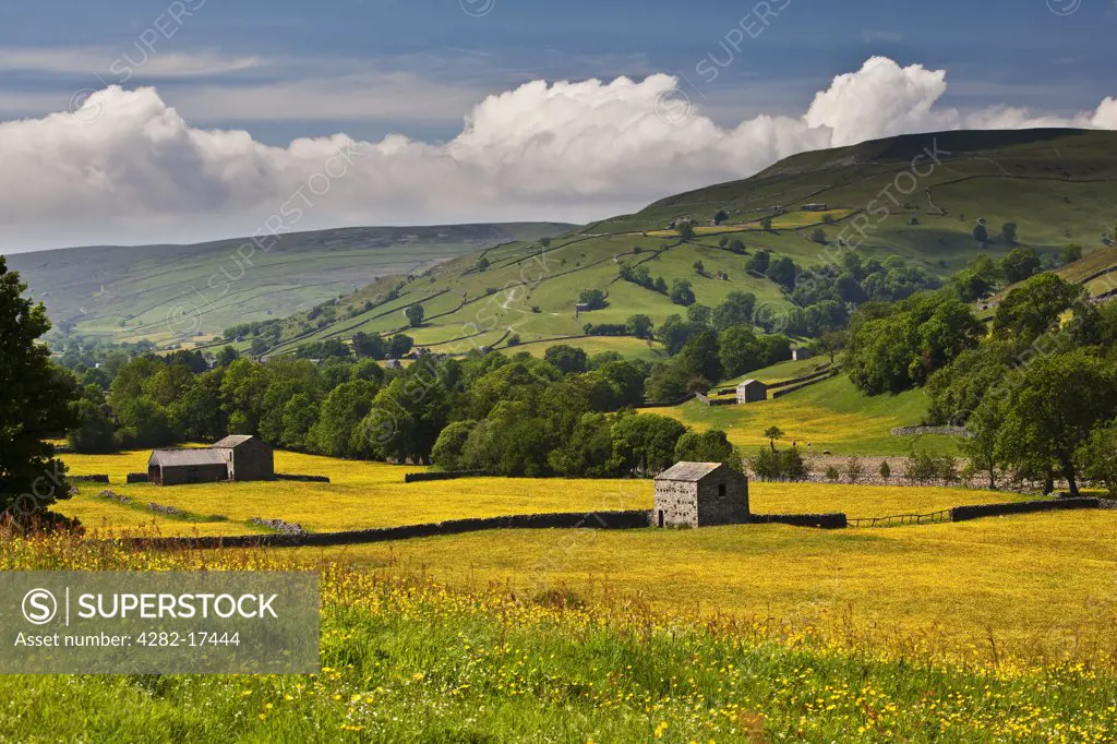England, North Yorkshire, Muker. Stone barns in wild flower meadows near Muker, Swaledale, Yorkshire Dales National Park.
