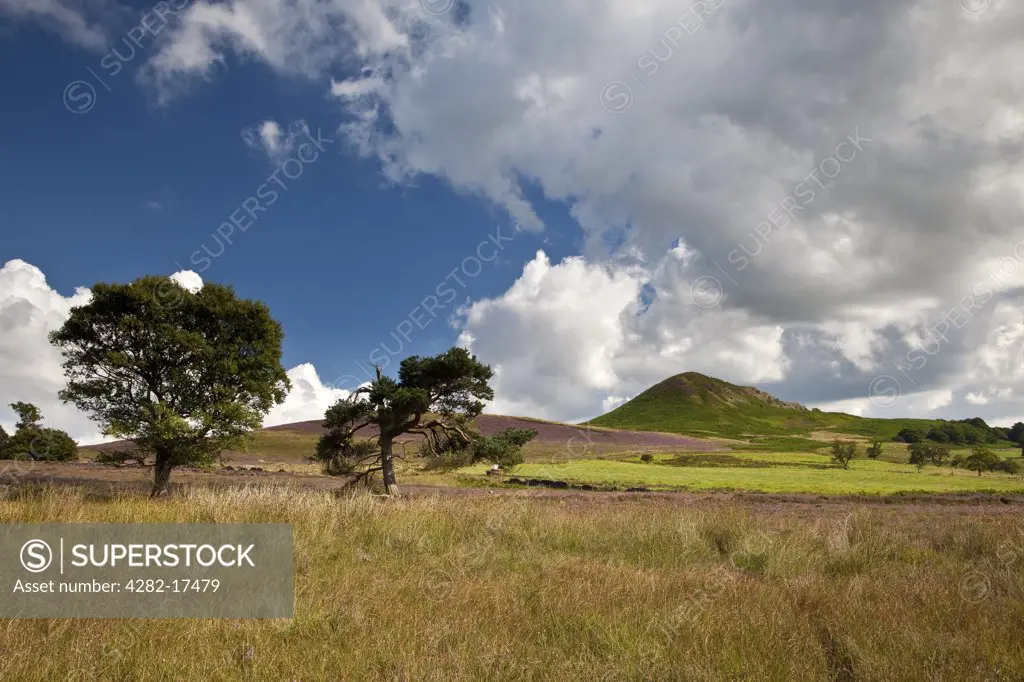 England, North Yorkshire, Hawnby. Open moorland and Hawnby Hill in the North York Moors National Park.