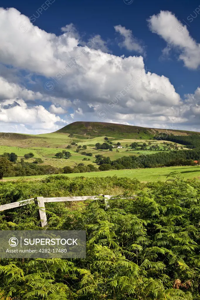 England, North Yorkshire, Bilsdale. Easterside Hill in the North York Moors National Park.