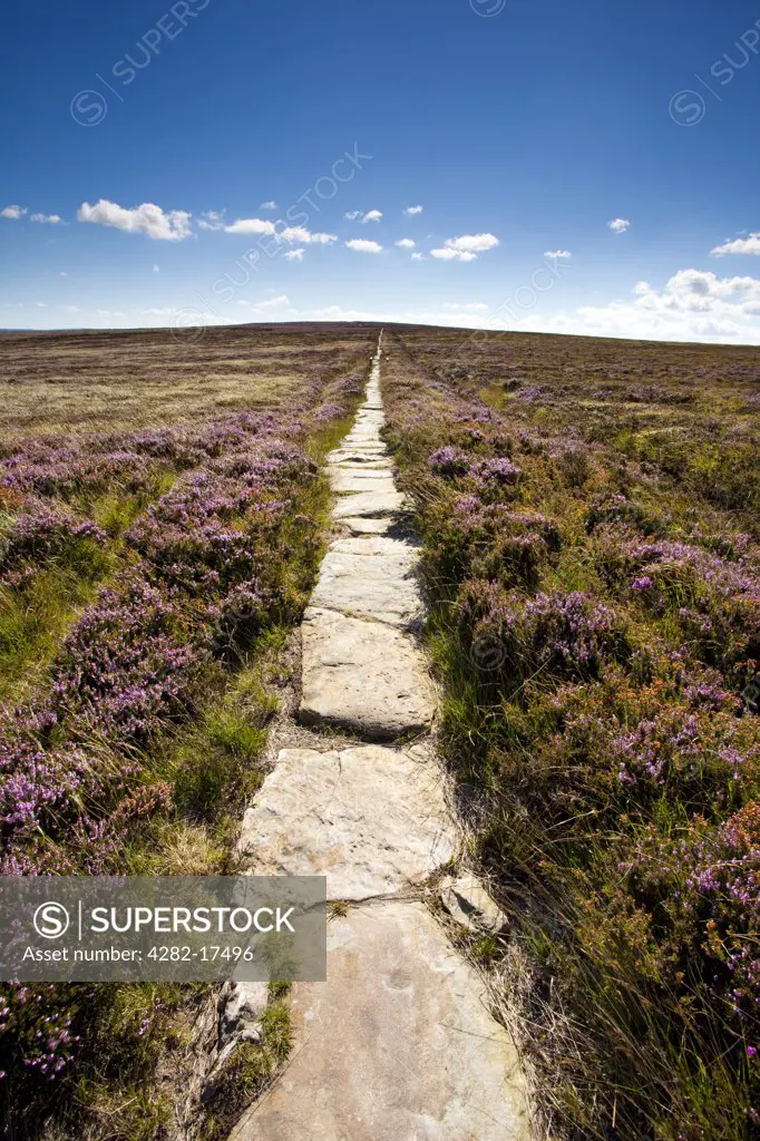 England, Redcar & Cleveland, Stanghow. The Quakers Causeway, an ancient trod across Stanghow Moor in the North York Moors National Park near Guisborough.