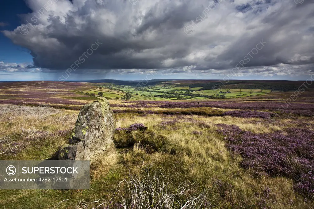England, North Yorkshire, Glaisdale. Standing Stone on Glaisdale Rigg above the Dale in the North York Moors National Park.