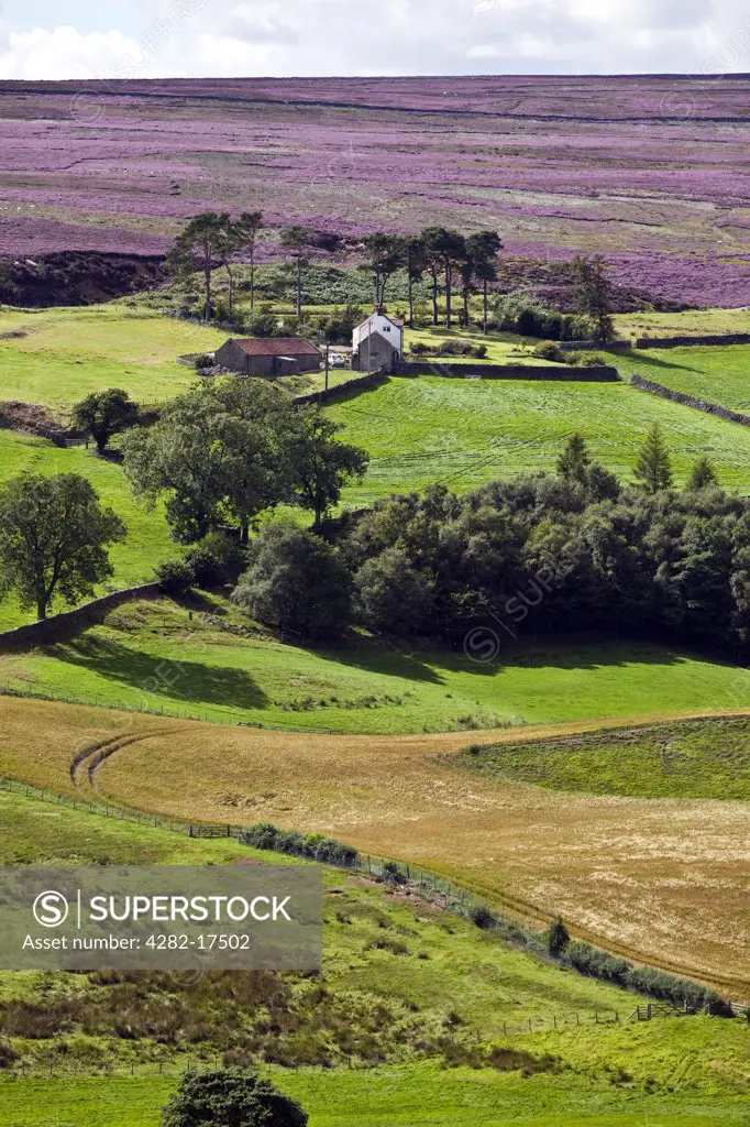 England, North Yorkshire, Commondale. Scale Cross Farm on Commondale Moor in the North York Moors National Park.