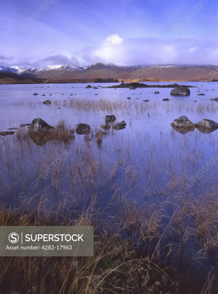 Scotland, Argyll and Bute, Rannoch Moor. View of Black Mountains across Rannoch Moor.