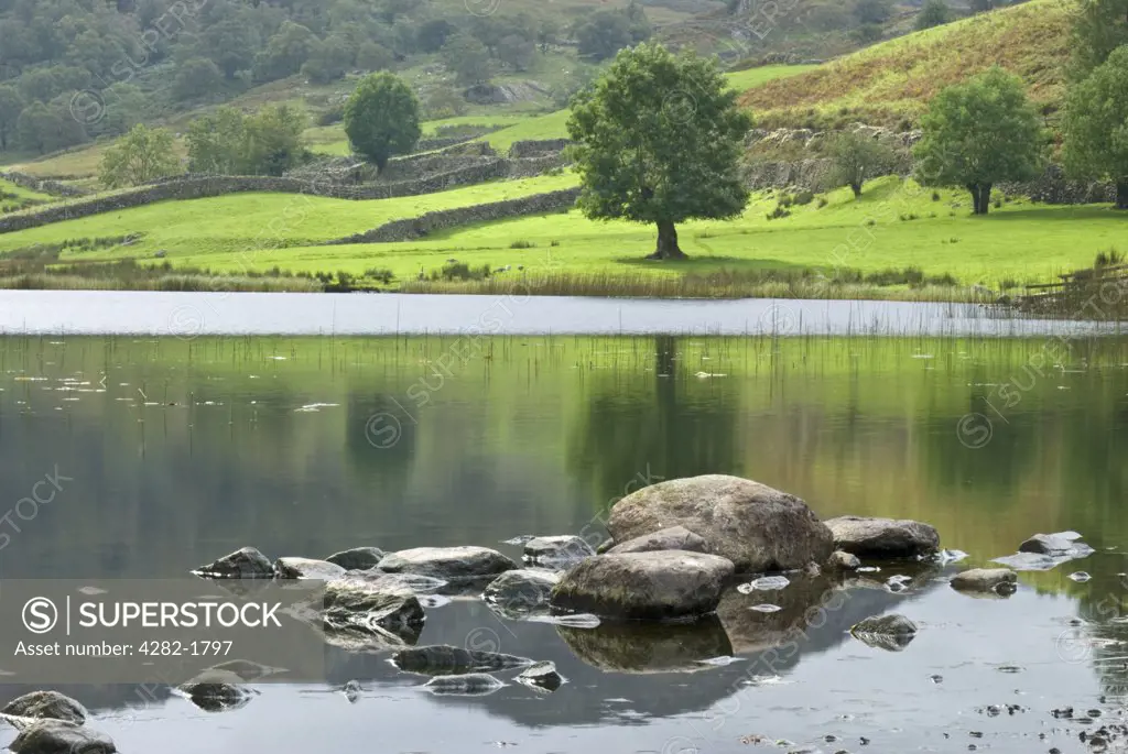 England, Cumbria, Watendlath. A view over rocks emerging from Watendlath Tarn to dry stone walls and hills in Cumbria.