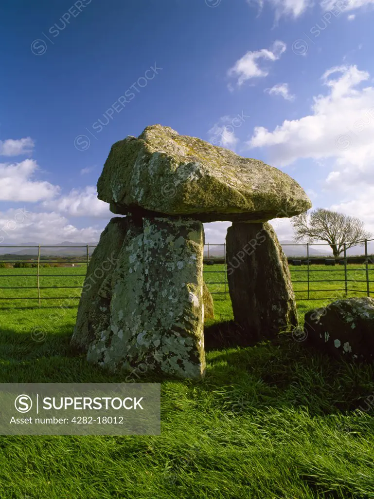 Wales, Anglesey, Bodowyr Dolmen. The exposed remains of a Neolithic burial chamber in Llanidan parish; three side-slabs support a sloping capstone.