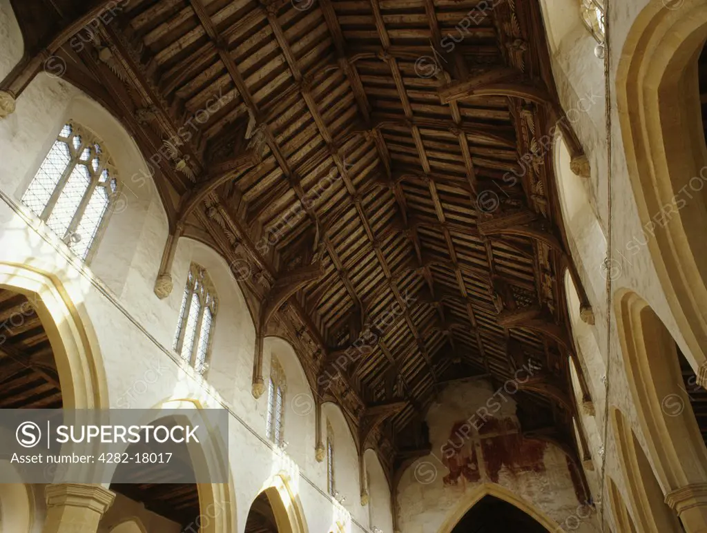 England, Norfolk, Cawston. The nave and aisles of St Agnus' church looking towards the chancel arch where the outline of a wooden crucifix (rood) survives in the original painted plaster. The 15th century hammer-beam roof is decorated with cherubim, full-length seraphim and other standing figures.