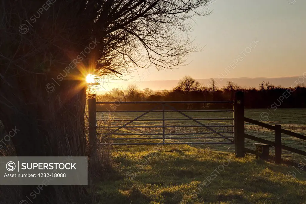 England, Somerset, Stathe. Sun rising above a gate leading to a field of pasture on the Somerset Levels.