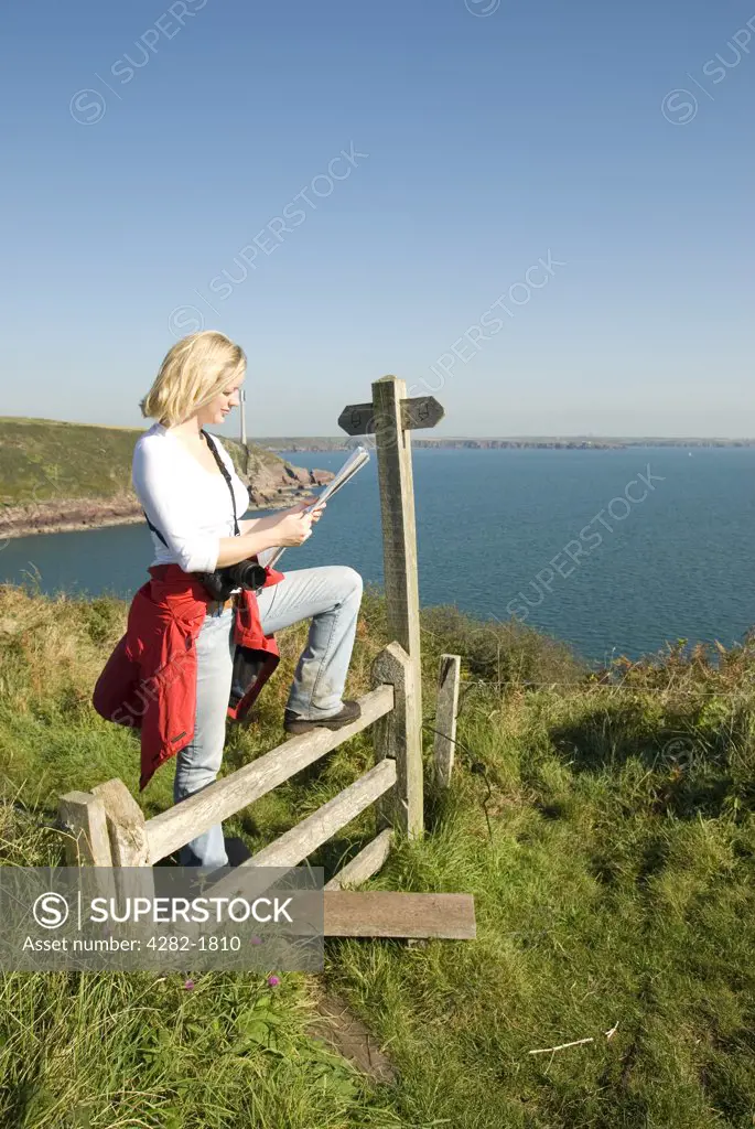 Wales, Pembrokeshire, St. Ann's Head. A female walker stops at a stile to read a map above St. Ann's Head on the Pembrokeshire coastline.