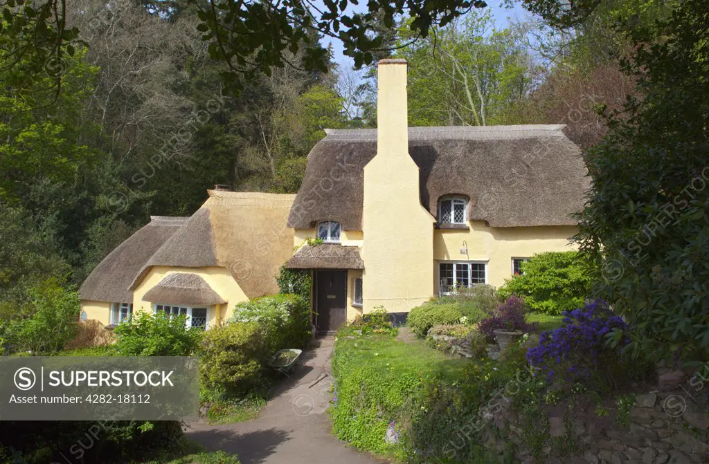England, Somerset, Selworthy. Thatched cottage in the small hamlet of Selworthy in Exmoor National Park.