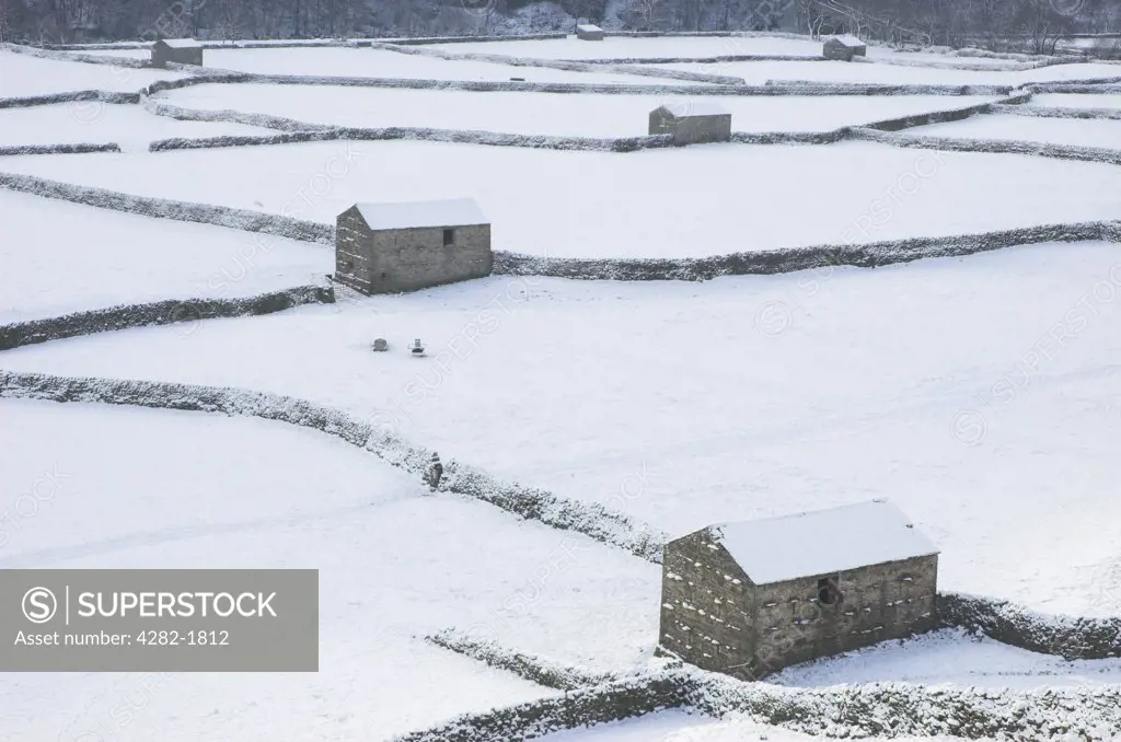 England, North Yorkshire, Gunnerside. Looking over snow covered dry stone walls and barns at fields in Swaledale.